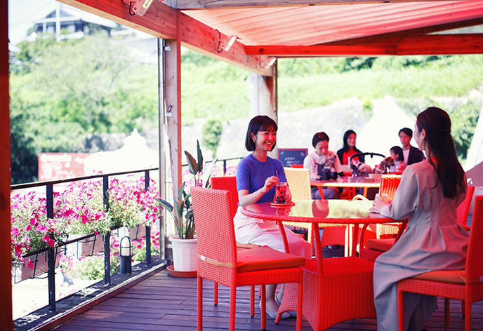 のじまスコーラ2