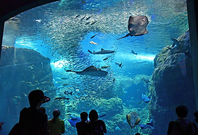 新江ノ島水族館