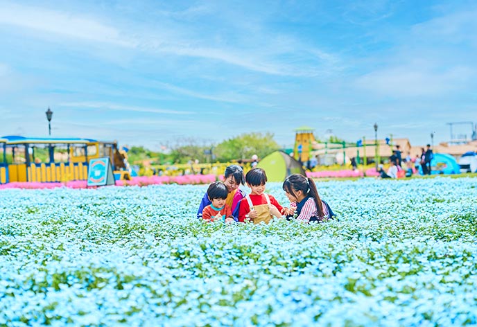 ソレイユの丘(長井海の手公園)2