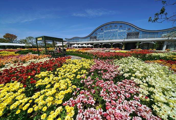 フローランテ宮崎1