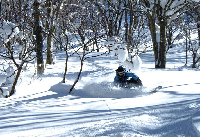 スキージャム勝山