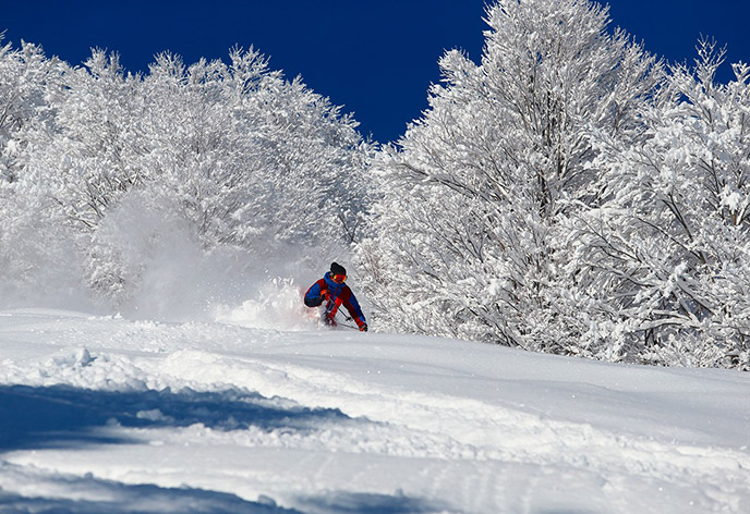 舞子スノーリゾート　中級者におすすめ！長峰エリア