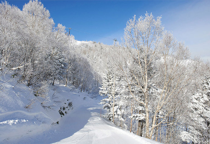 奥志賀高原スキー場