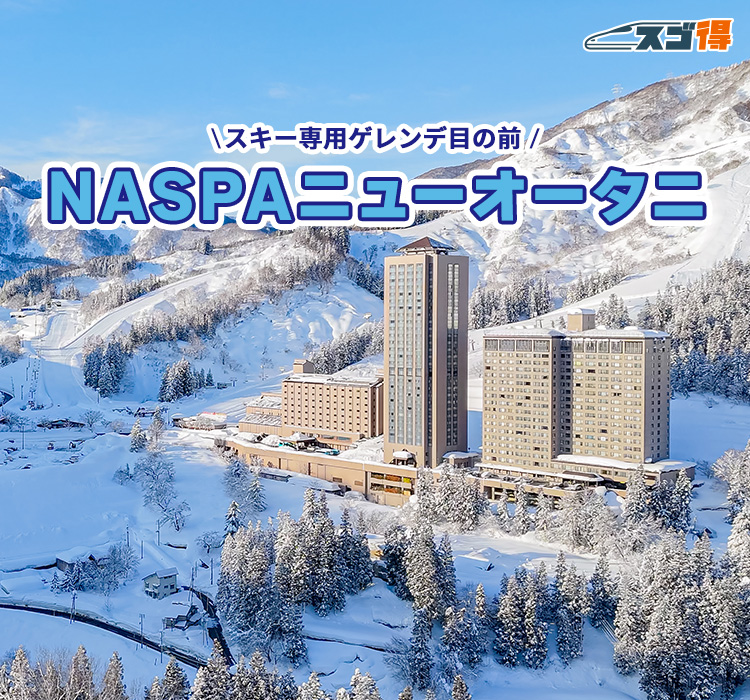 スキー専用のNASPAスキーガーデン目の前！NASPAニューオータニ スキー
