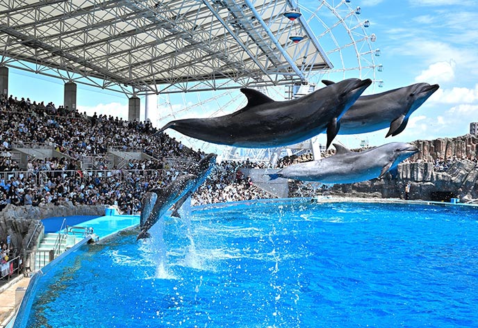 名古屋港水族館1