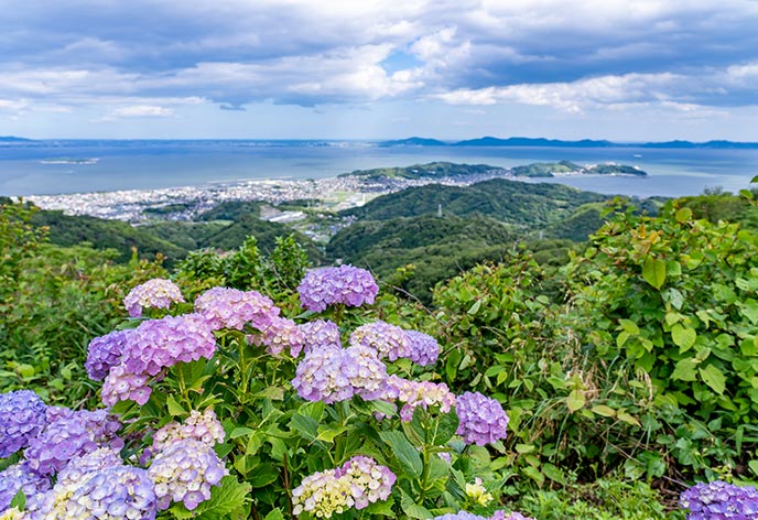 三河湾スカイライン展望スポット