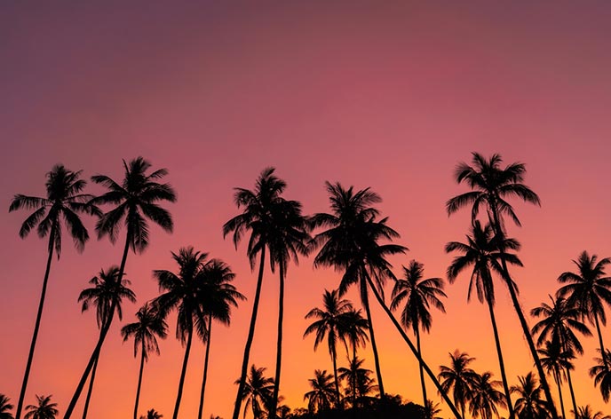 ハワイ旅行に必要な費用【日数別】 4泊6日