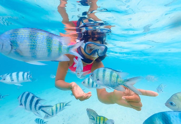 観光・アクティビティ費