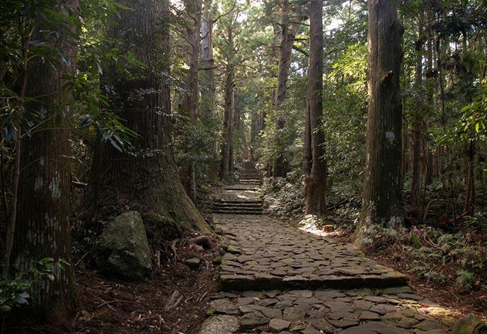 熊野古道 伊勢路