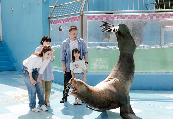 伊勢シーパラダイス2