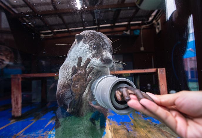 伊勢シーパラダイス3