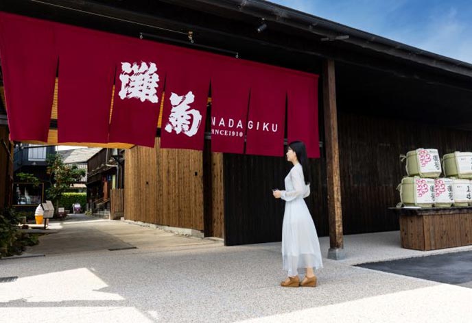 灘菊酒造 酒蔵見学