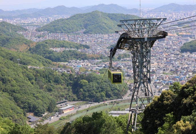 灘菊酒造 酒蔵見学