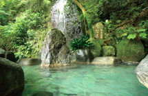湯河原温泉 青巒荘