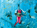 箱根園水族館