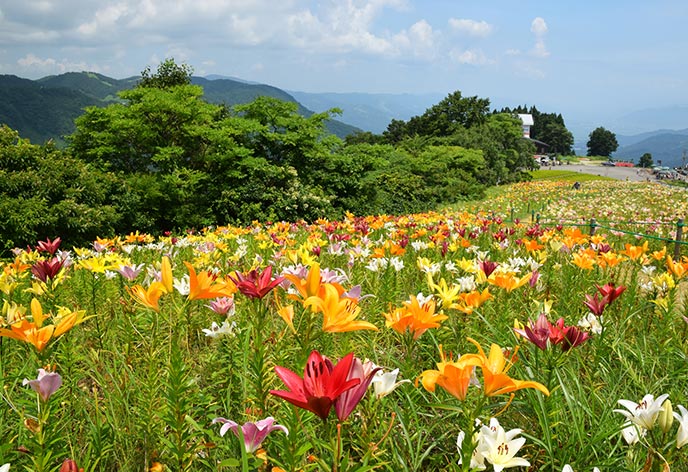 越後湯沢2