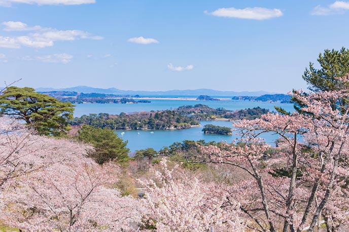 西行戻しの松公園