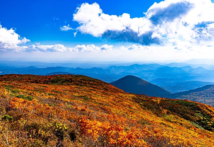 栗駒山