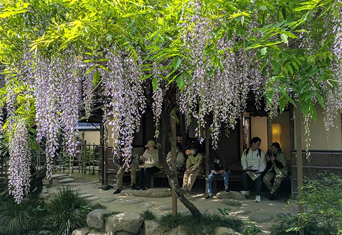 庚申庵3
