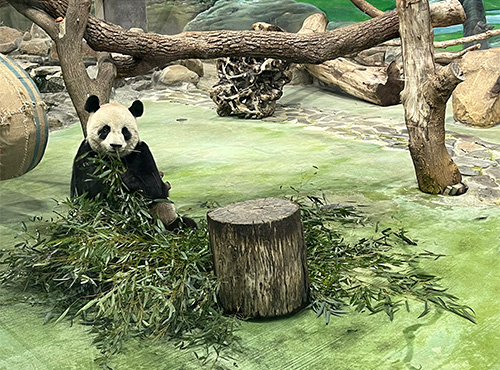 台北市立動物園