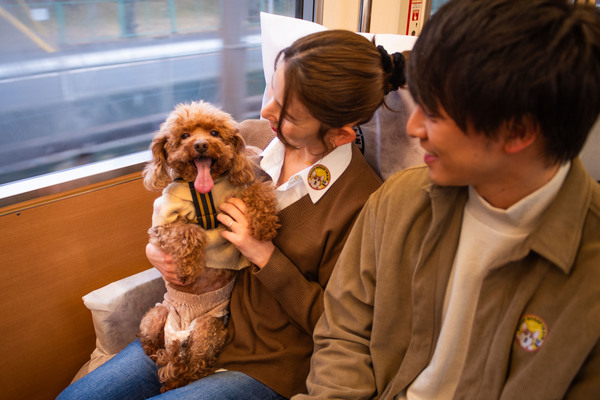 doggy_doggy_train_point01_03.jpg