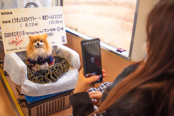 doggy_doggy_train_point02_01.jpg