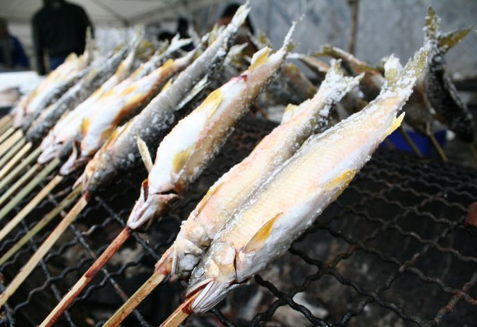天然鮎