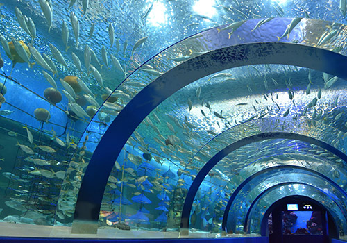 青森県営 浅虫水族館