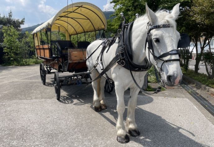 辻馬車