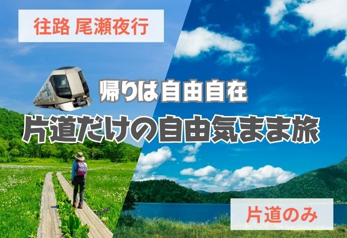 尾瀬夜行【片道プラン】