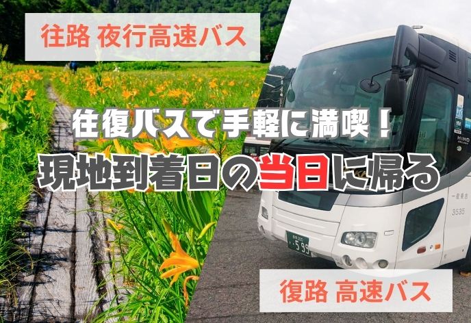 尾瀬 現地到着日の当日に帰る 高速バス「尾瀬号」【往復プラン】