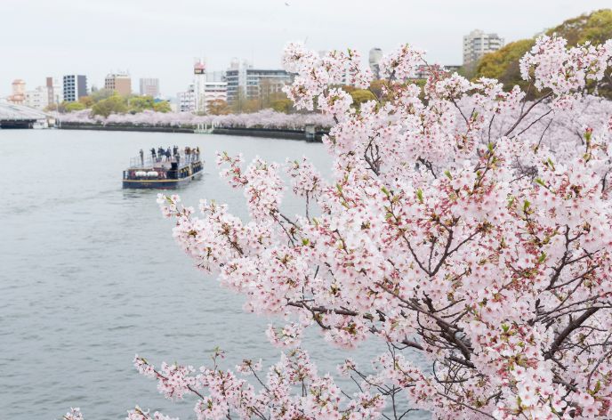 大阪城_春