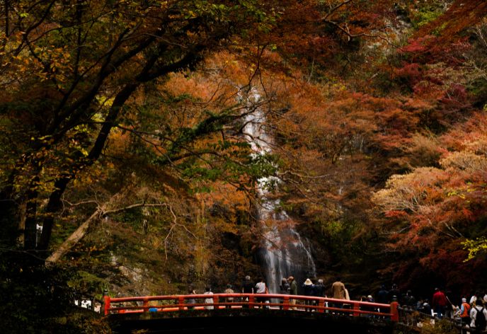 箕面大滝の紅葉