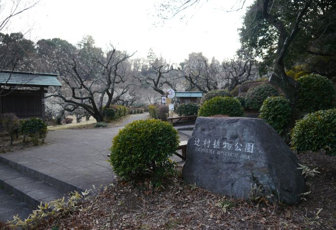 辻村植物公園