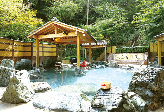 大江戸温泉物語 ホテルレオマの森 露天風呂
