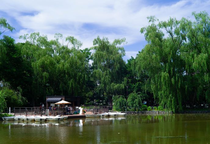 月寒公園