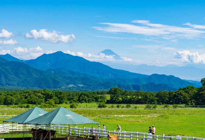 清里高原