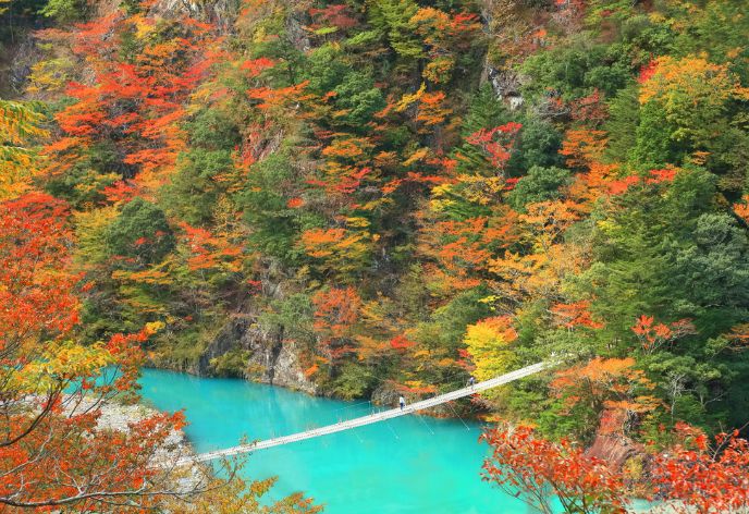 夢の吊橋