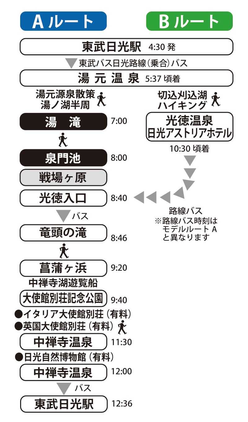 日光紅葉夜行モデルコース