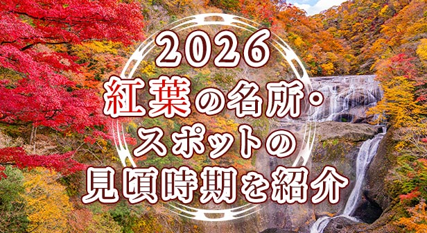 【2026年】紅葉の名所・スポットの見頃時期を紹介