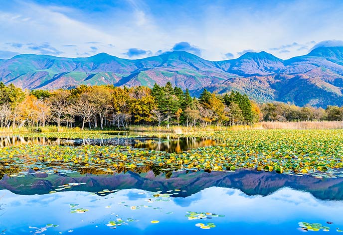 紅葉イメージ　知床五湖