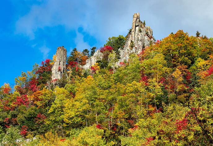 紅葉イメージ　層雲峡
