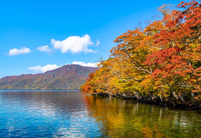 紅葉イメージ　十和田湖