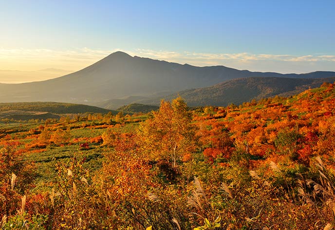 紅葉イメージ　八幡平