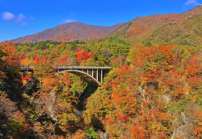 紅葉イメージ　鳴子峡