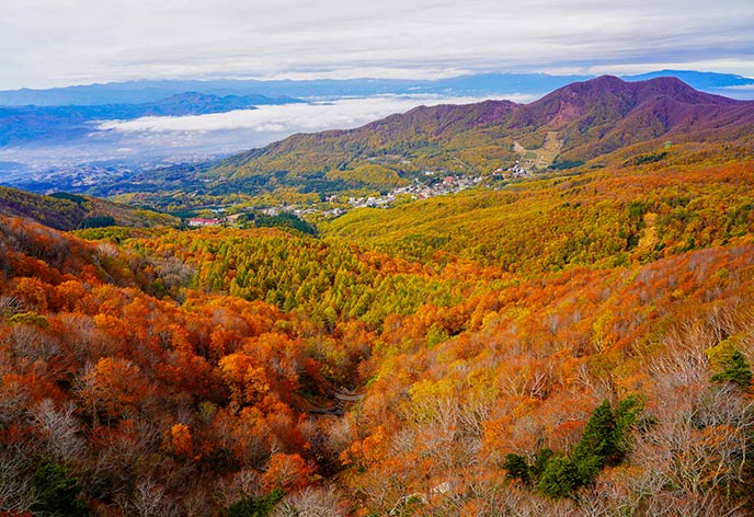 紅葉イメージ　蔵王温泉