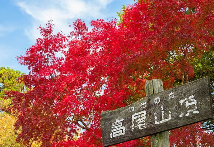 紅葉イメージ　高尾山