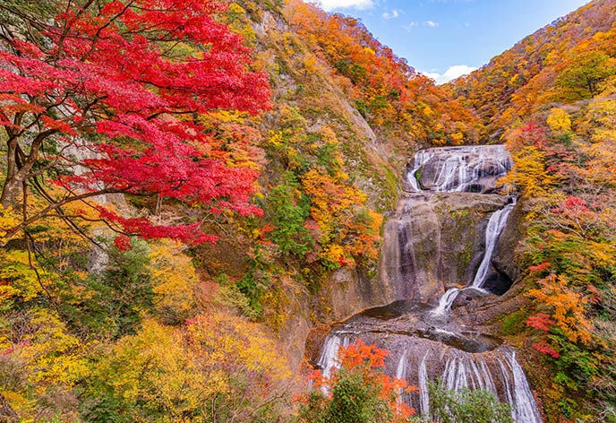 紅葉イメージ　袋田の滝