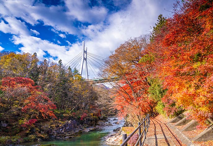 紅葉イメージ　水上温泉