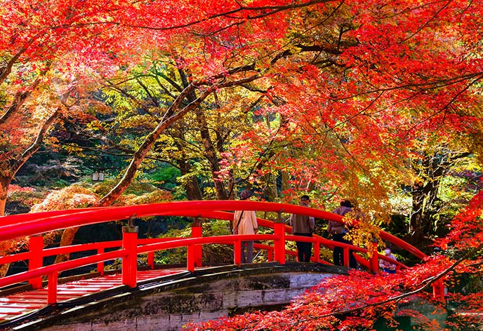 紅葉イメージ　伊香保温泉